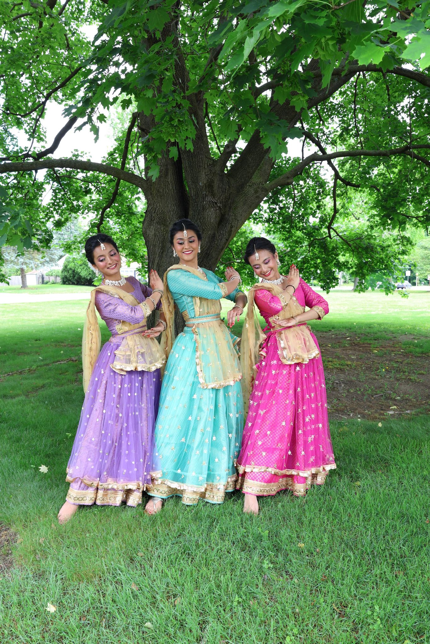 Premium banarasi with soft net layer on top